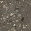 Ceralto Elaris Oak Vloertegel - 90x90cm - 9.0mm - gerectificeerd - Sassi antracite p SW1242809