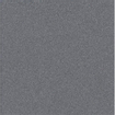 ÉCHANTILLON Rako Taurus Granit Carreau de sol et de mur 20x20cm 9mm R10 porcellanato Gris Anthracite SW976357
