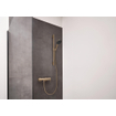 Hansgrohe Raindance alive 125 3 jet EcoSmart doucheset Puro S 65cm - Brushed bronze (brons) SW1388061