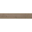 SAMPLE Ceralto Elaris Plank Vloer- en wandtegel 25x150cm 10mm gerectificeerd R9 porcellanato Tabacco SW976619