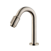 Wiesbaden Victoria luxe fonteinkraan 1/2'' geborsteld staal SW10452