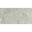 Ceralto Valerio Mini Vloertegel - 59.7x119.7cm - 9.0mm - gerectificeerd - Ceppo di gre SW1175097
