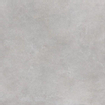 SAMPLE Sintesi Concept Stone Carrelage de sol et de mur 60x60cm 8.8mm rectifié R9 grès cérame Silver SW976454