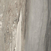 Douglas jones magnum carreau de sol et de mur 60x60cm rectifié brillant tropical SW717478