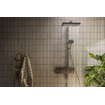 Hansgrohe Raindance alive showerpipe - 210/340 2 jet EcoSmart therm. - Brushed bronze (brons) SW1387853