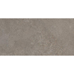 Ceralto Amaro Plank Vloertegel - 30x60cm - 9.0mm - gerectificeerd - Iron SW1473913
