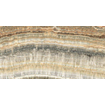 Ceralto Alabro Vein Vloertegel - 60x120cm - 9.0mm - gerectificeerd - Caramel SW1117155
