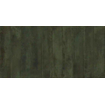 SAMPLE Ceralto Coloris Pigment 295X595 Nuance 227765 Vert SW1122843