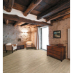 Energieker Antiqua carrelage sol et mur 90x15cm rectifié aspect bois miele SW545408