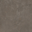 Ceralto Framel Vloertegel - 59.7x59.7cm - 9.0mm - gerectificeerd - Coffee SW1175032
