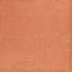 Roca St Tropez Carreau mural 13x13cm 8,5mm pâte blanche Coral SW370570