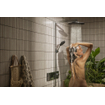Hansgrohe Raindance alive showerpipe - 300 1 jet EcoSmart thermostaat chroom SW1387880
