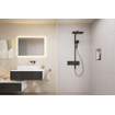 Hansgrohe Raindance alive showerpipe - 210/340 2 jet thermostaat - Brushed Black Chrome (antraciet) SW1387816