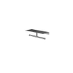 Hotbath &MORE Porte-rouleau double - pour tablette de la série - Gunmetal brossé PVD SW1245990