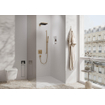 Hansgrohe Pulsify e pomme de douche 260 1jet ecosmart bronze brossé SW917976
