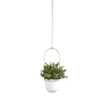 Umbra Triflora suspension pour plantes 64x110x15cm pour 3 plantes polyester blanc/or SW539581