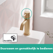 Hansgrohe Tecturis pillar kraan 80 met rechte greep brushed bronze SW918543