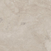 SAMPLE Pamesa Portlandstone Carrelage de sol 1000X1000 9mm Taupe Mat Ret.R9 SW1449527