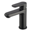 Xellanz Robinet de lavabo trop-plein noir mat SW392834