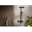 Hansgrohe Raindance alive showerpipe - 210/340 2 jet thermostaat - Brushed Black Chrome (antraciet) SW1387816