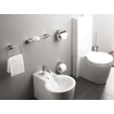 Emco Mundo toiletrolhouder met klep chroom SW113586