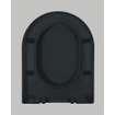 QeramiQ Dely Abattant WC - frein de chute - déclipsable - slim - noir mat SW1000768