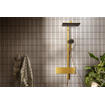 Hansgrohe Raindance alive showerpipe - 210/340 2 jet EcoSmart therm. pol.gold SW1388167