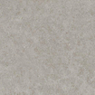 Ceralto Gravito Raw Carrelage de sol - 80x80cm - 9.0mm - rectifié - gris SW1242650