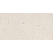 Ceralto Elaris Oak Carrelage de sol - 30x60cm - 9,0mm - rectifié - Sabbia beige SW1242824