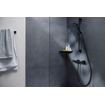 Hansgrohe Ecostat Fine Mitigeur thermostatique de douche - apparent - noir mat SW1152218