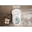 Hansgrohe EluPura S Abattant WC - topfix - softclose - quickrelease - blanc SW962894