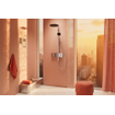 Hansgrohe Raindance alive showerpipe - 300 2 jet EcoSmart thermostaat chroom SW1388022