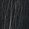 Ceralto Alabro Vein Carreau de sol - 120x120cm - 6.0mm - rectifié - Thunder night SW717558