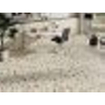 Terravito Hodoro carreau mural et de sol - 59.5x59.5cm - 9.5mm - rectifié - Terrazzo - beige SW857376