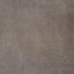 SAMPLE Ceralto Serico Polished Vloertegel - 60x60cm - 10.0mm - gerectificeerd - Brown SW913166