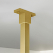 Fortifura Galeria Douche à l'italienne - 100x200cm - Fumé - Bras plafond - Laiton brossé (doré) SW957377