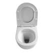 Aloni Pro Toilet suspendu - 36x49x32cm - chasse tourbillonnante - sans rebord - avec abattant - fermeture douce - libération rapide - compact - blanc mat SW1446225