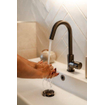 Fortifura Calvi Mitigeur lavabo rehaussé avec bec rotatif Gunmetal PVD SW809350