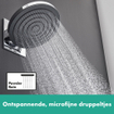 Hansgrohe Pulsify hoofddouche 26cm 2jet met arm chroom SW651077