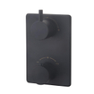 Wiesbaden Caral Robinet baignoire à encastrer Noir mat SW539723