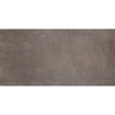 SAMPLE Ceralto Serico Polished Vloer- en wandtegel 60x120cm 11mm gerectificeerd R10 porcellanato Brown SW913207