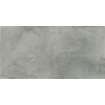 Ceralto Tivoli Accent Carrelage de sol - 29.7x59.7cm - 9.0mm - rectifié - Graphite SW1175015