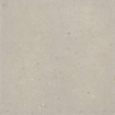 Douglas Jones Tinct Vloertegel - 120x120cm - 9.0mm - gerectificeerd - Sabbia grigio SW1242839