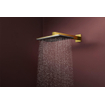 Hansgrohe Raindance alive hoofddouche 210/340 1 jet Polished Gold Optic (goud) SW1388606