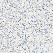 Ceralto Nocera Mini Carreau de sol - 60x60cm - 9.0mm - rectifié - Azzuro SW1440626