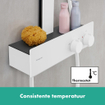 Hansgrohe Talis E Douchezuil/paneel SW918188