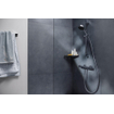 Hansgrohe Ecostat Element Mitigeur de douche thermostatique - apparent - chrome SW1186257