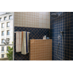 Hansgrohe Vernis Blend douche-arm 24 cm chroom SW651671
