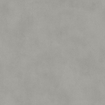 Ceralto Lazaro Vloertegel - 120x120cm - 9.0mm - gerectificeerd - Grey SW1242609