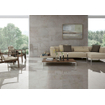 SAMPLE Terravito Waldoro wand- en vloertegel - 60x120cm - 10.5mm - Rechthoek - gerectificeerd - Marmerlook - Grijs gepolijst SW736062